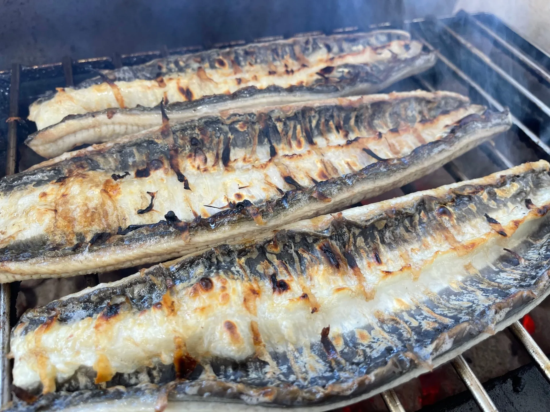 【炭焼うなぎ】国産鰻 6尾 三河一色産 送料込み‼︎