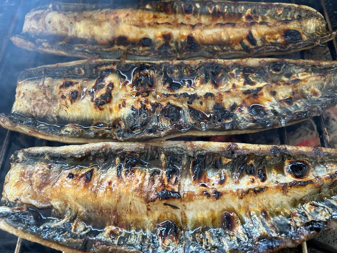 【炭焼うなぎ】大サイズ140g-170g 三河一色産 3尾 炭火焼き鰻